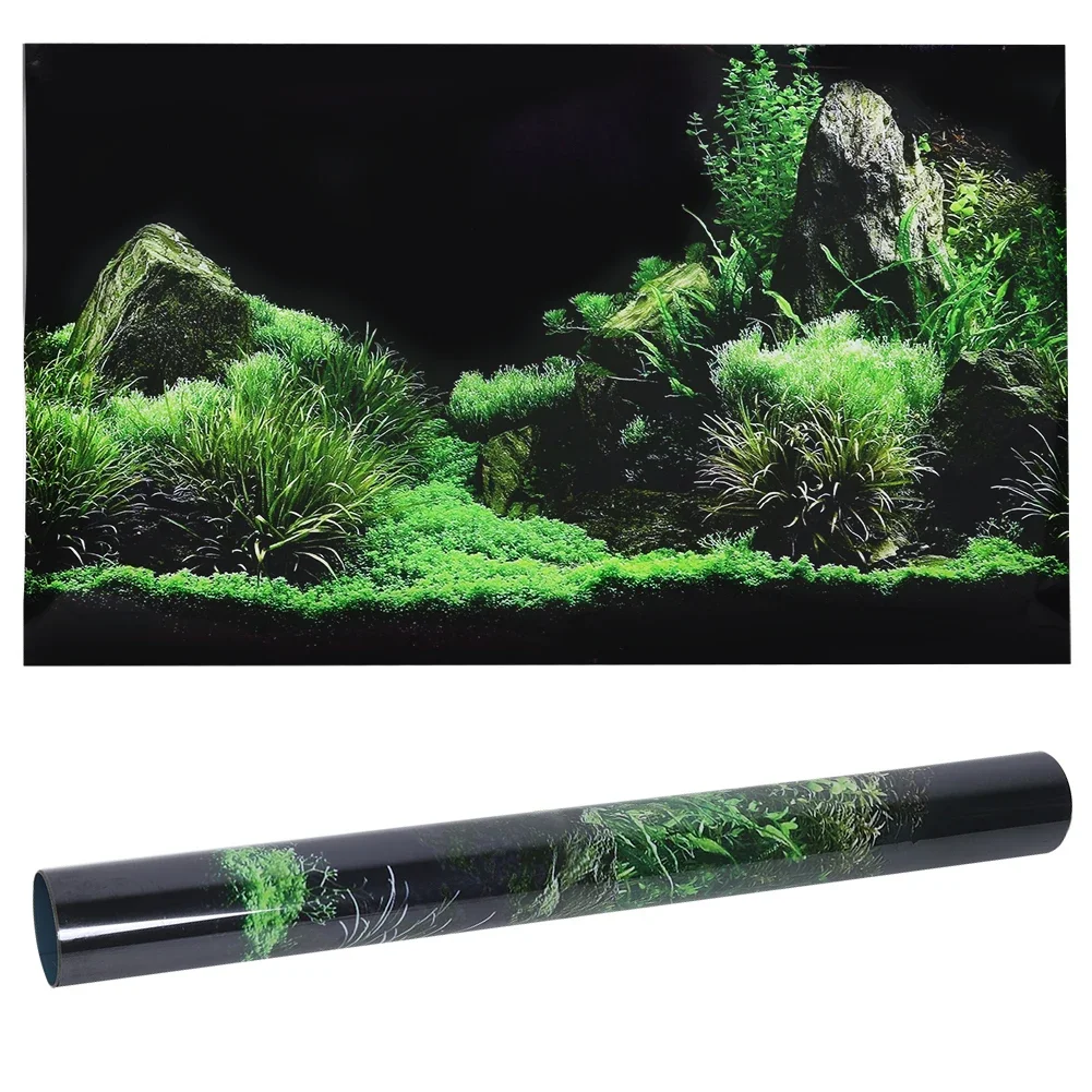 Aquarium Fish For Sale Online - Akvaryum 3d Sticker Poster için arka