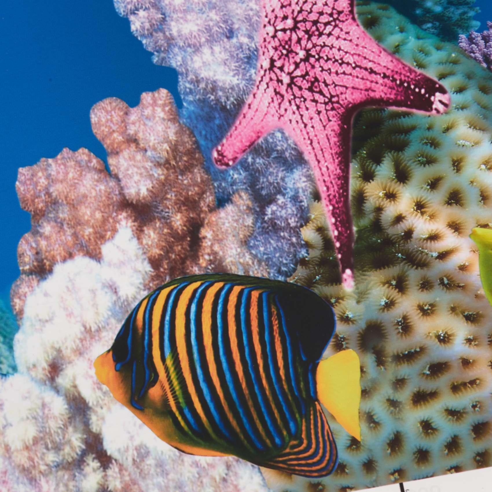 Aquarium Fish Wallpaper - ABWR-Akvaryum Arka Plan Kağıdı HD Resim