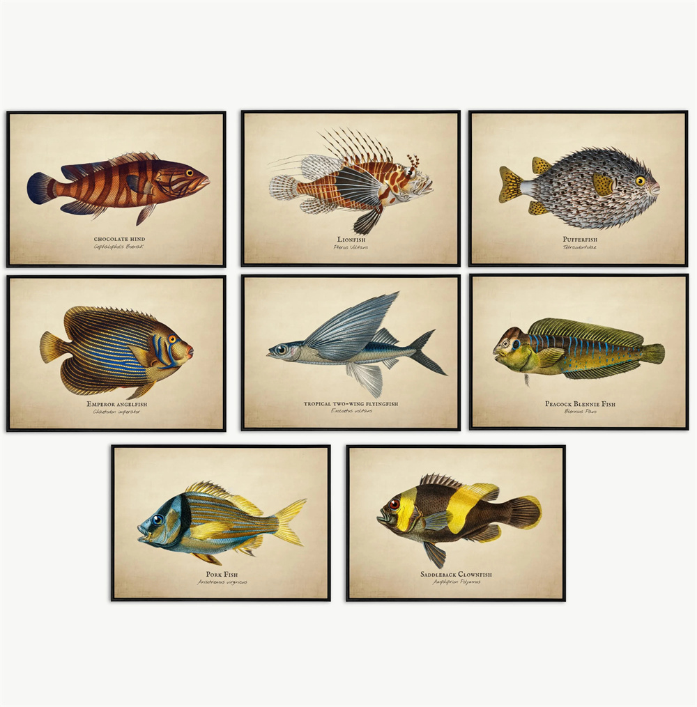 Fish In Aquarium Picture - Vintage Resimler Tropikal Balık Denizanası Kabukları