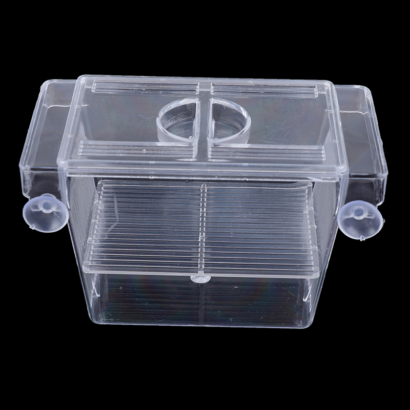 Aquarium Fish Escape - Akvaryum Balık Tankı Lepistes Çift Yetiştiriciliği