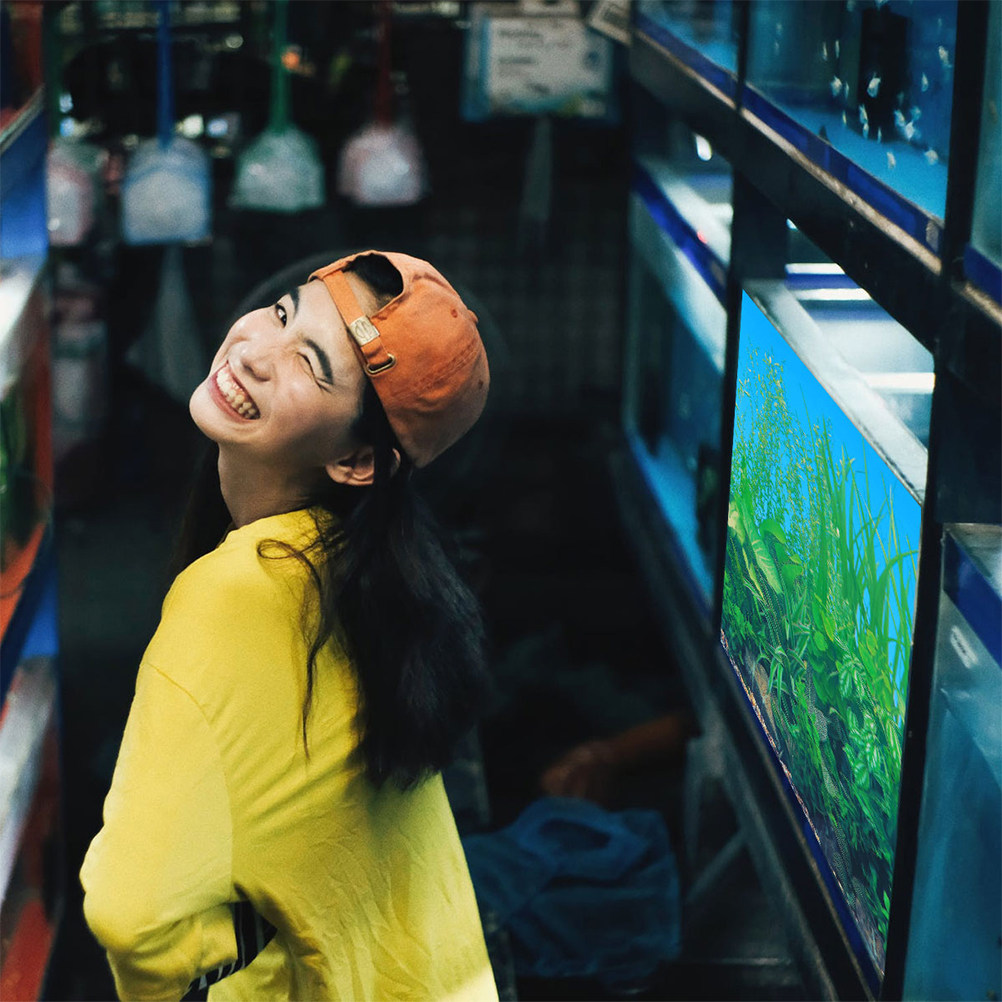 Aquarium Fish Wallpaper - Balık Tankı Arka Plan Kağıdı Kalınlaştırılmış