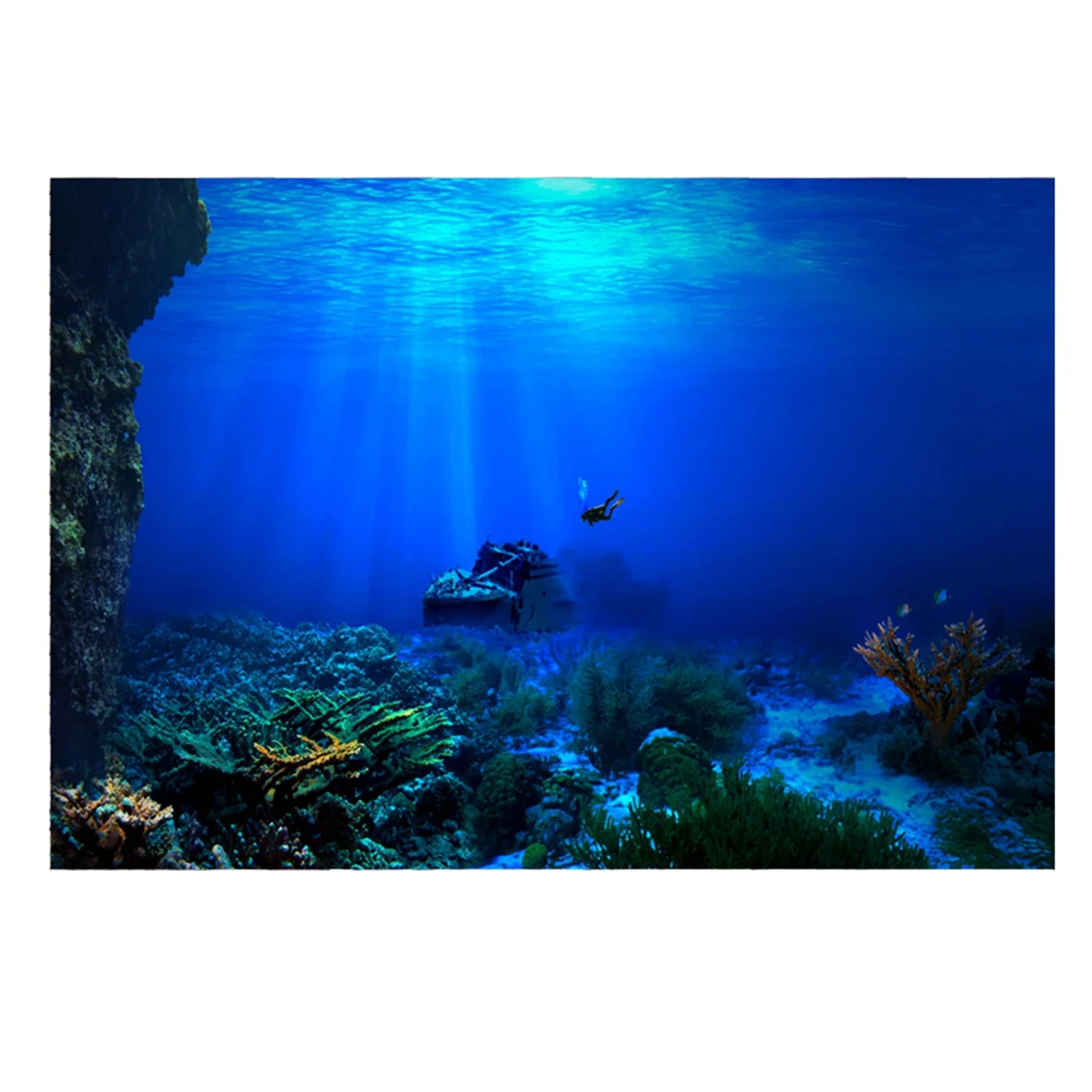 Fish In Aquarium Picture - Rainforest akvaryum arka plan posteri balık