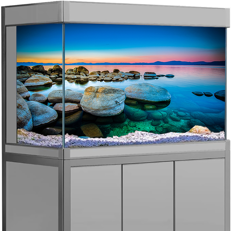 Aquarium Fish Wallpaper - Akvaryum Arka Plan Çıkartması Taş Deniz