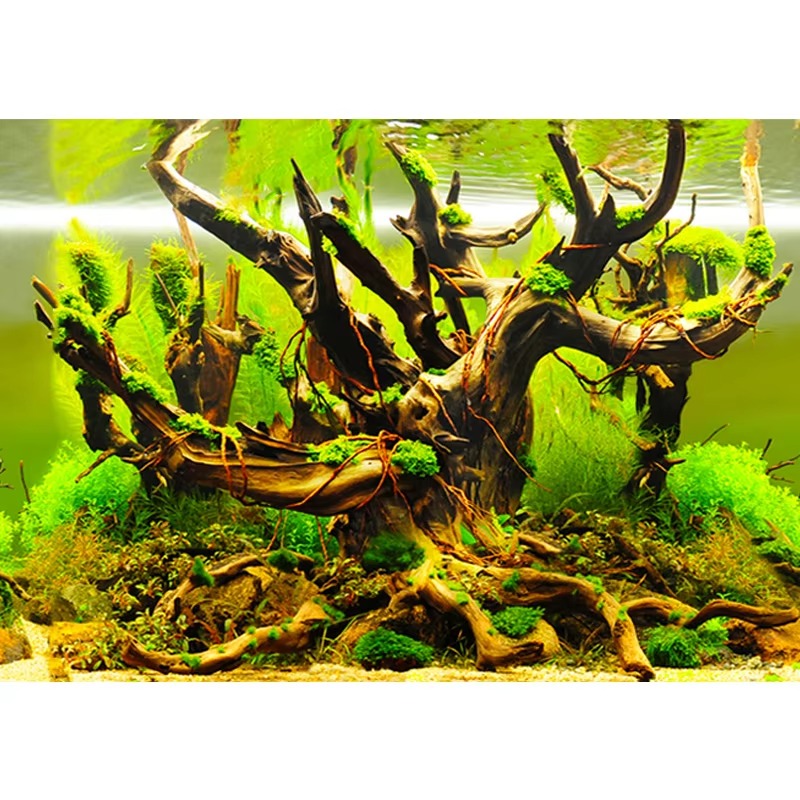 Aquarium Fish Wallpaper - 50cm Akvaryum Dekorasyonu Su Geçirmez Kalınlaştırılmış