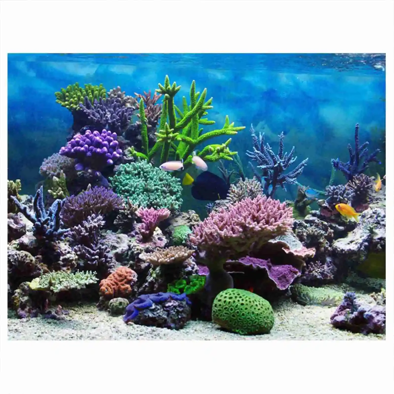Aquarium Fish Wallpaper - 3D akvaryum manzara Poster Rainforest duvar