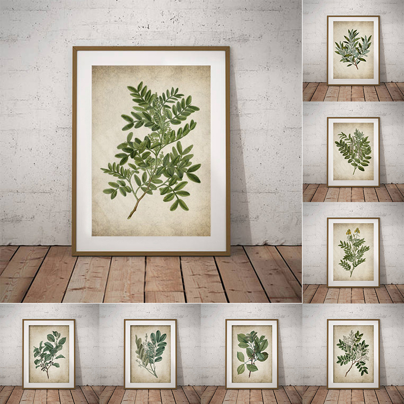 Live Plant Fertilizer - Vintage yeşil yaprak botanik Poster tuval