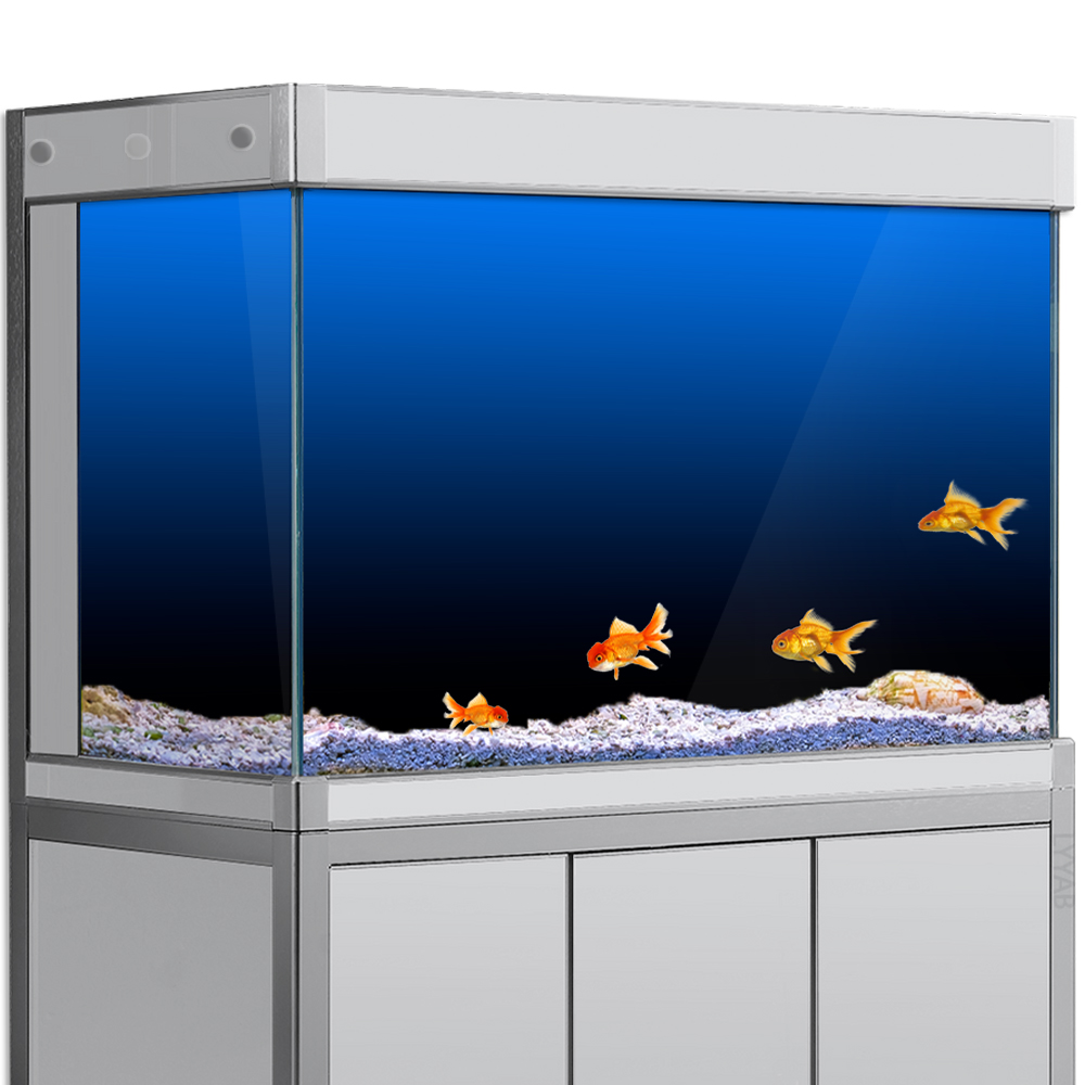 Aquarium Fish Wallpaper - Balık Tankı Arka Plan Etiket Siyah