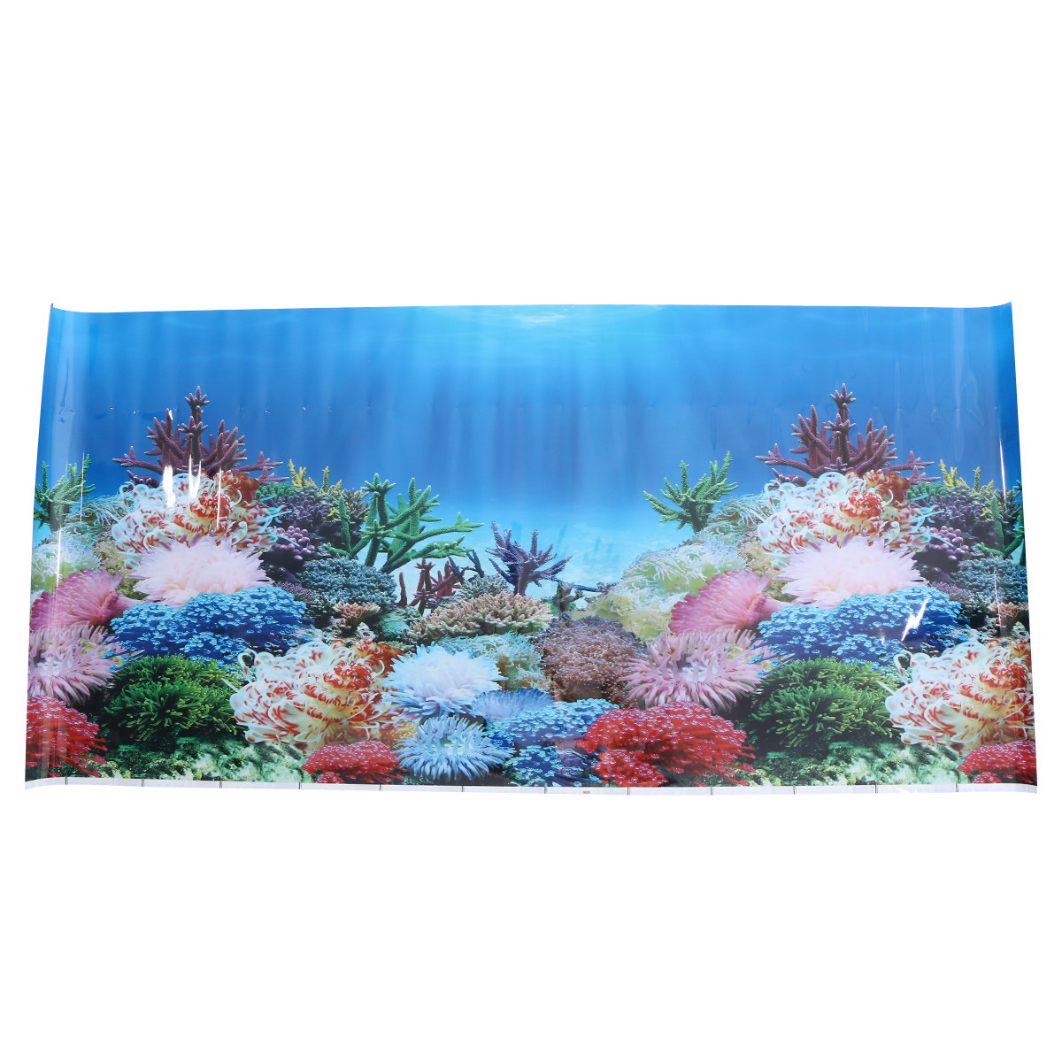 3D Duvar Kağıdı Akvaryum Resmi - Fish In Aquarium Picture incelemesi ve fiyatı