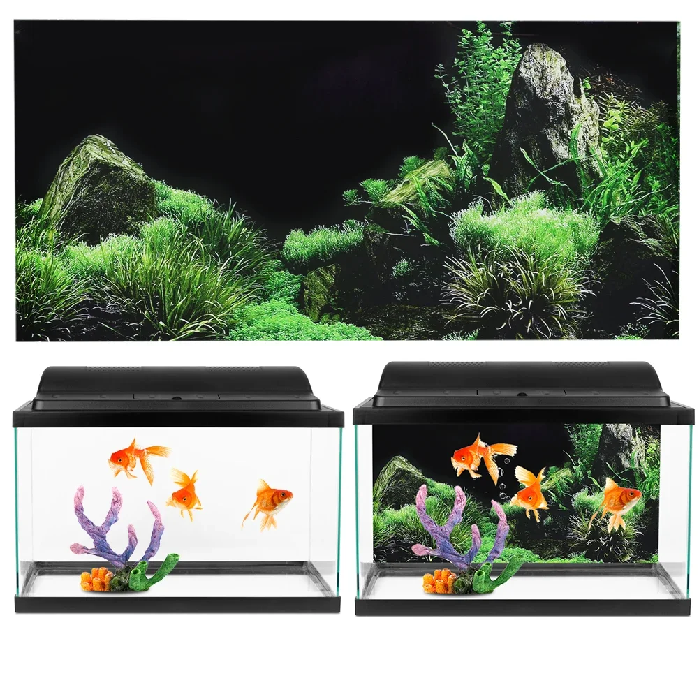 Akvaryum 3d Sticker Poster içi - Aquarium Fish For Sale Online incelemesi ve fiyatı