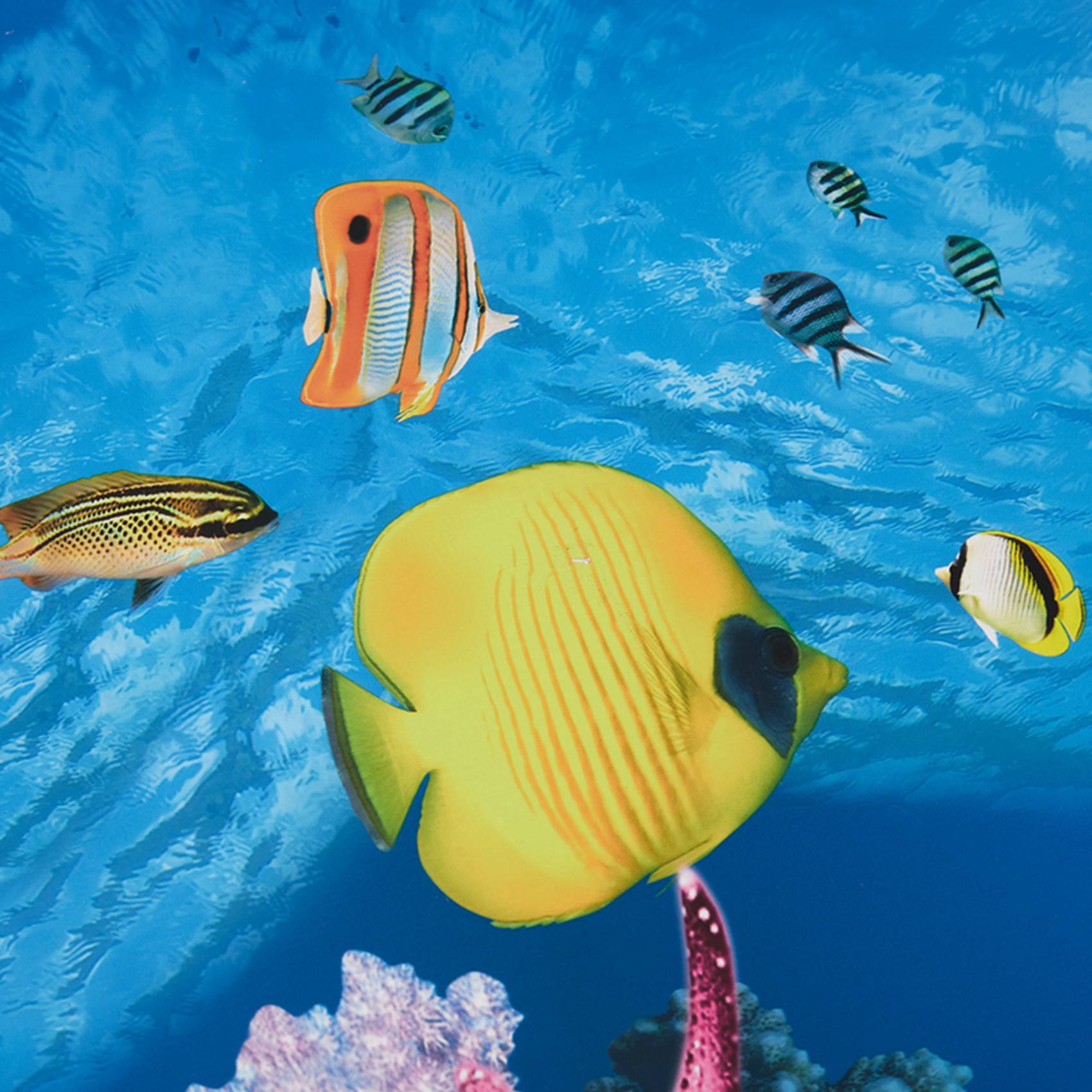 ABWR-Akvaryum Arka Plan Kağıdı - Aquarium Fish Wallpaper incelemesi ve fiyatı