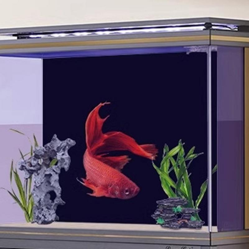 Siyah akvaryum arka plan duvar - Aquarium Fish Wallpaper incelemesi ve fiyatı
