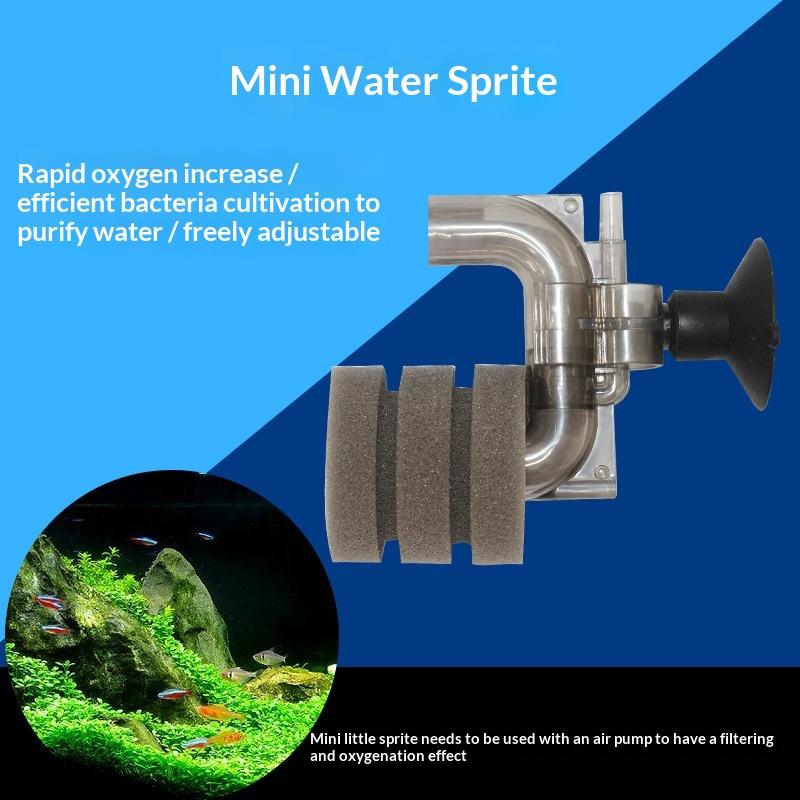 Sıcak Satış-Mini Akvaryum Süng - Aquarium Fish For Sale Online incelemesi ve fiyatı