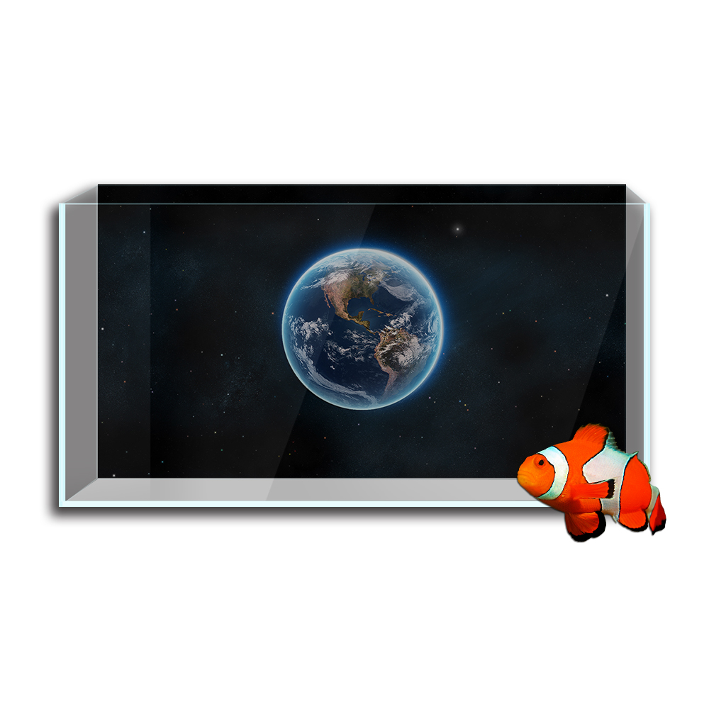 Akvaryum balık tankı arka plan - Aquarium Fish Wallpaper incelemesi ve fiyatı