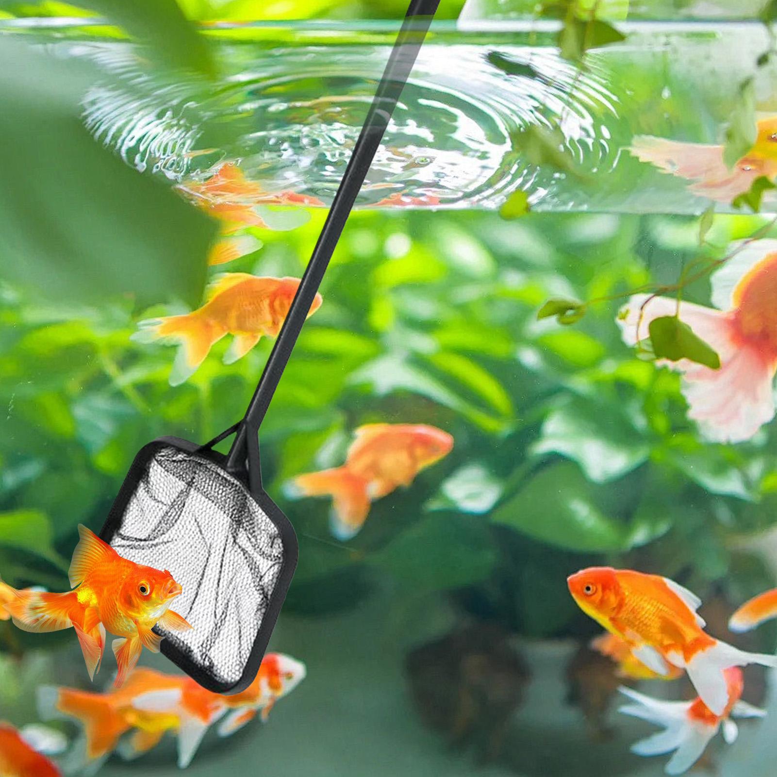 Havuz Temizleme Ağları Taşınab - Aquarium Fish Accessories incelemesi ve fiyatı