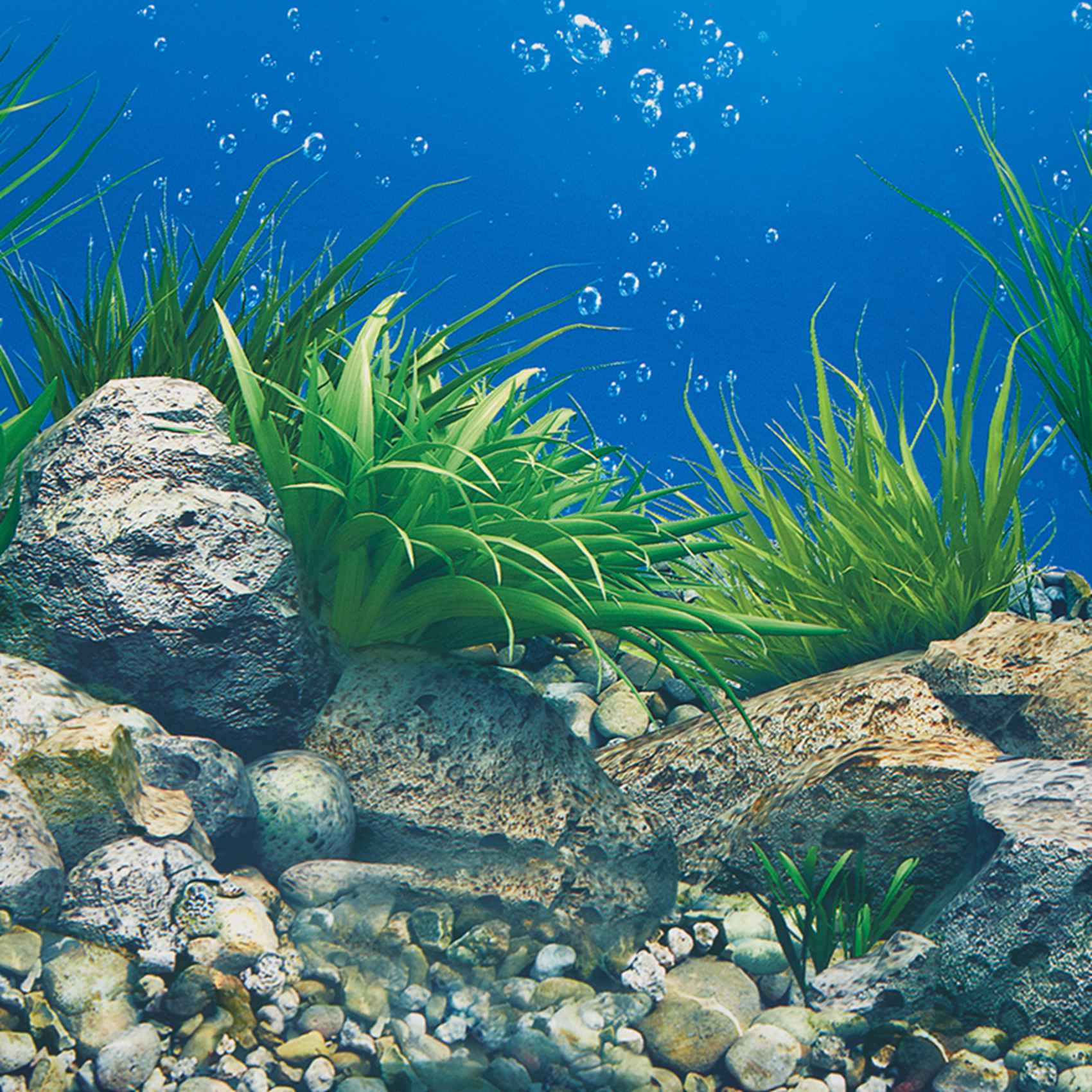 A77I Akvaryum Arka Plan Kağıdı - Fish In Aquarium Picture incelemesi ve fiyatı