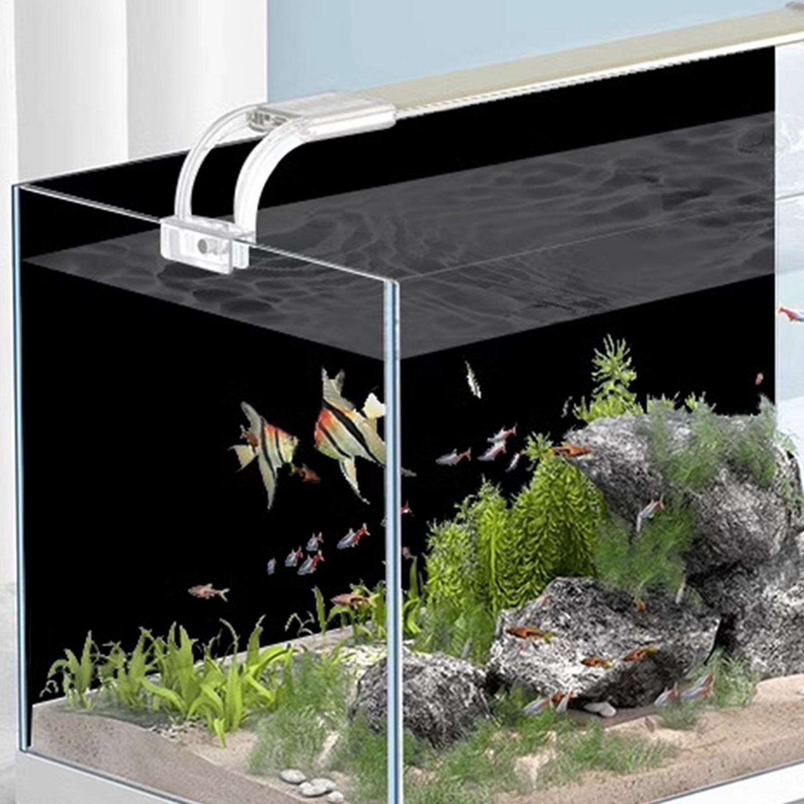 Siyah Akvaryum Arka Planı Stat - Aquarium Fish Wallpaper incelemesi ve fiyatı