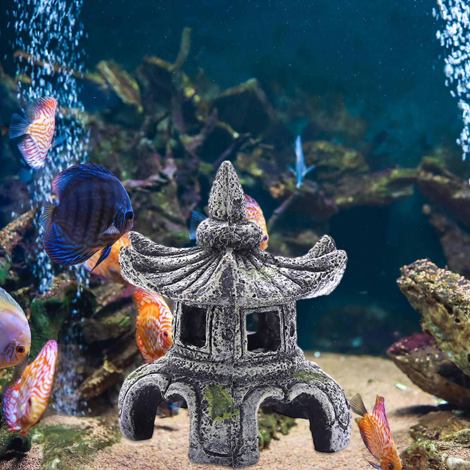 Akvaryum süs akvaryum aksesuar - Aquarium Fish For Sale Online incelemesi ve fiyatı