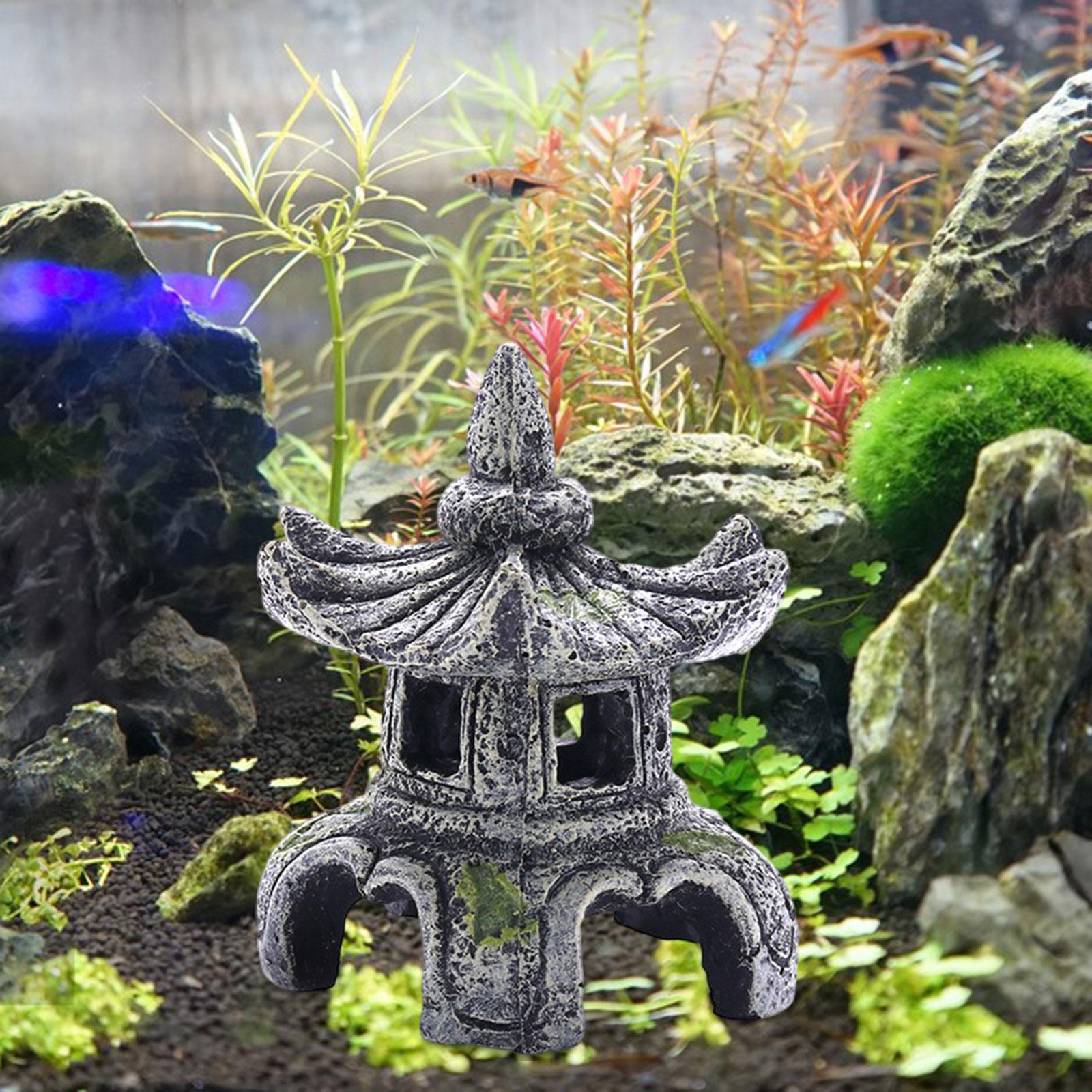 Akvaryum süs akvaryum aksesuar - Aquarium Fish For Sale Online incelemesi ve fiyatı
