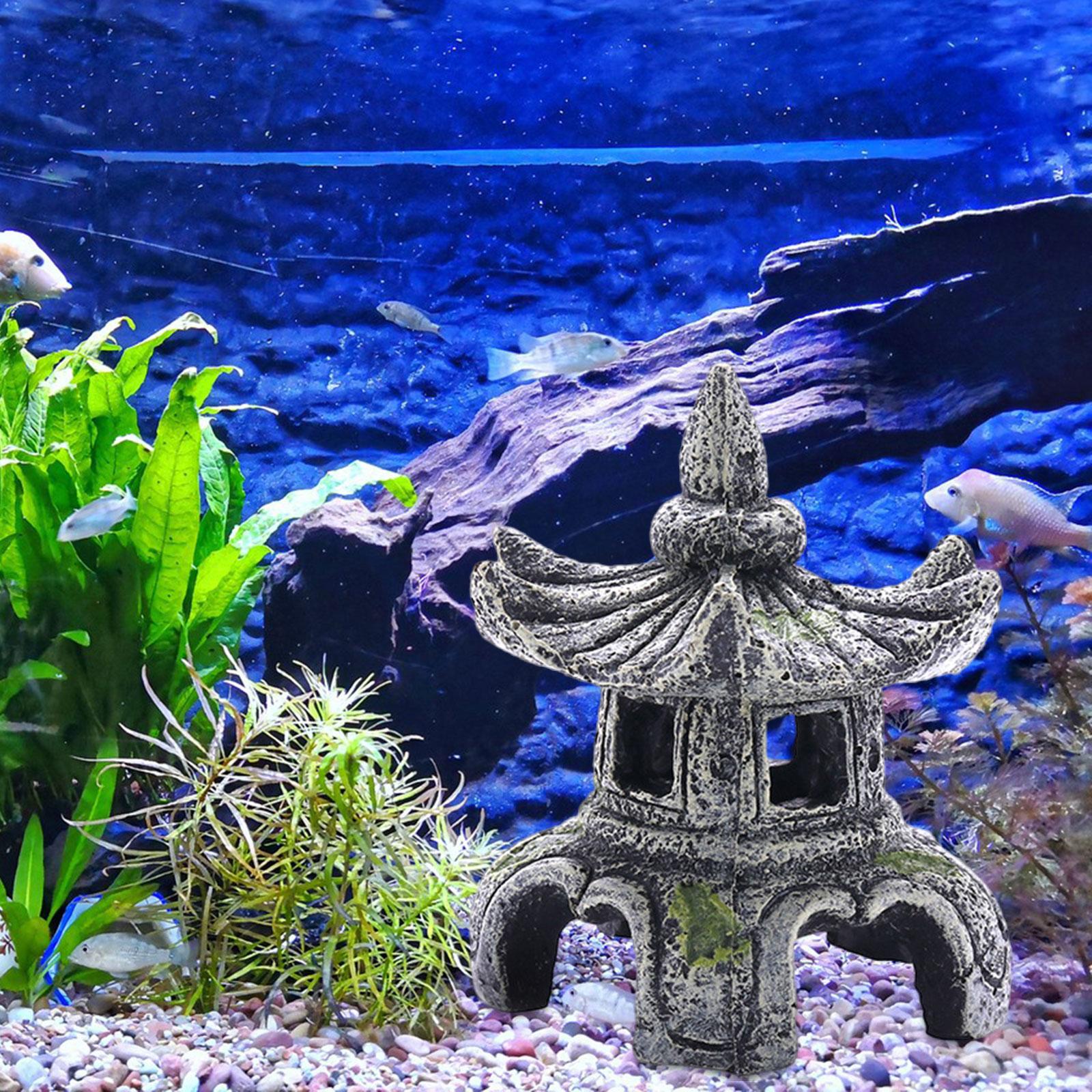 Akvaryum süs akvaryum aksesuar - Aquarium Fish For Sale Online incelemesi ve fiyatı