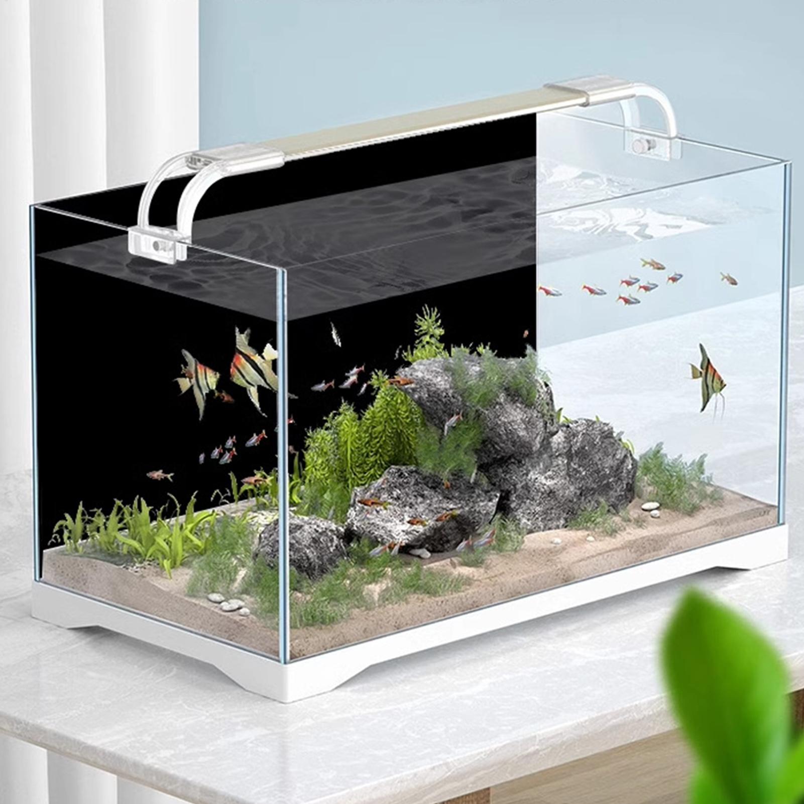 Balık Tankı Arka Planı Statik  - Aquarium Fish Wallpaper incelemesi ve fiyatı
