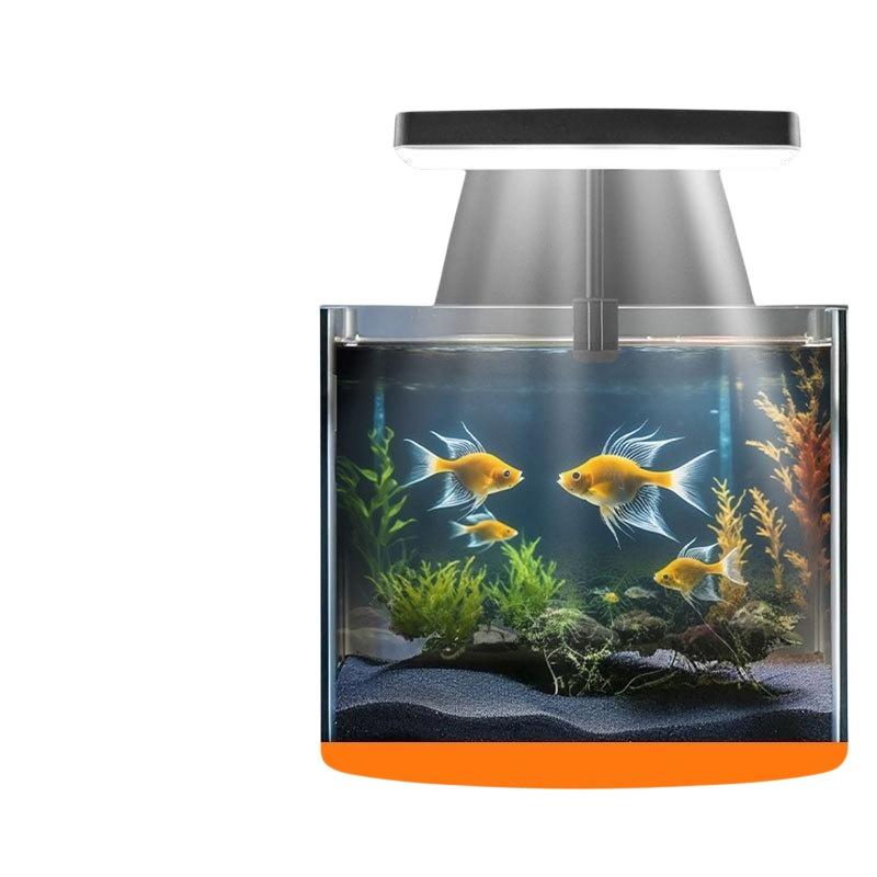 USB Akvaryum Klipsli Işık Esne - Aquarium Fishes incelemesi ve fiyatı