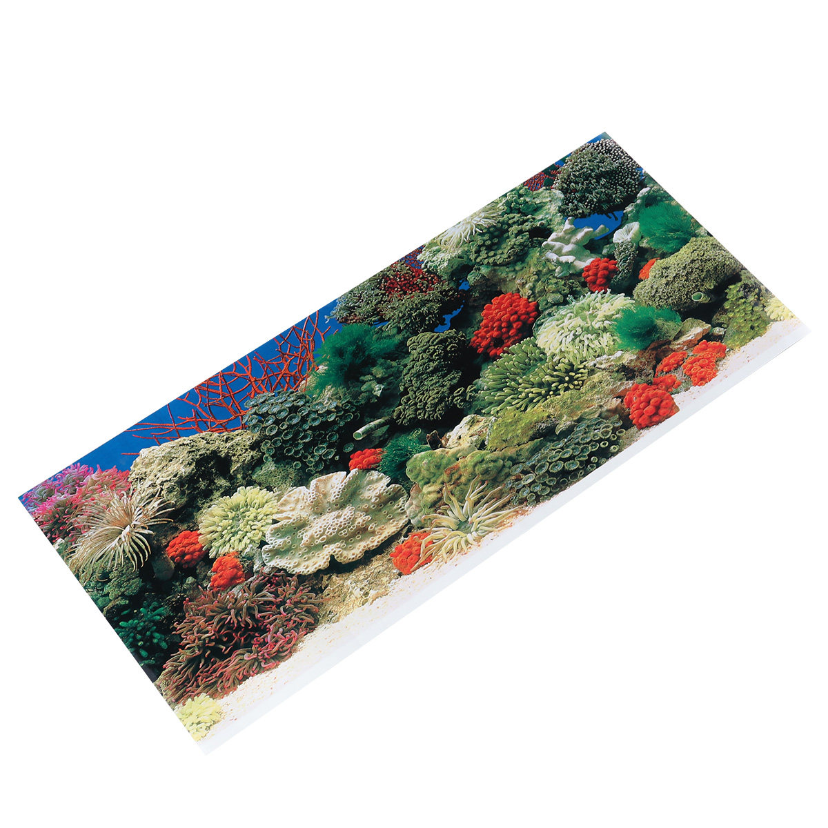 42 Cm Yapışkanlı Duvar Kağıdı  - Aquarium Fish Wallpaper incelemesi ve fiyatı