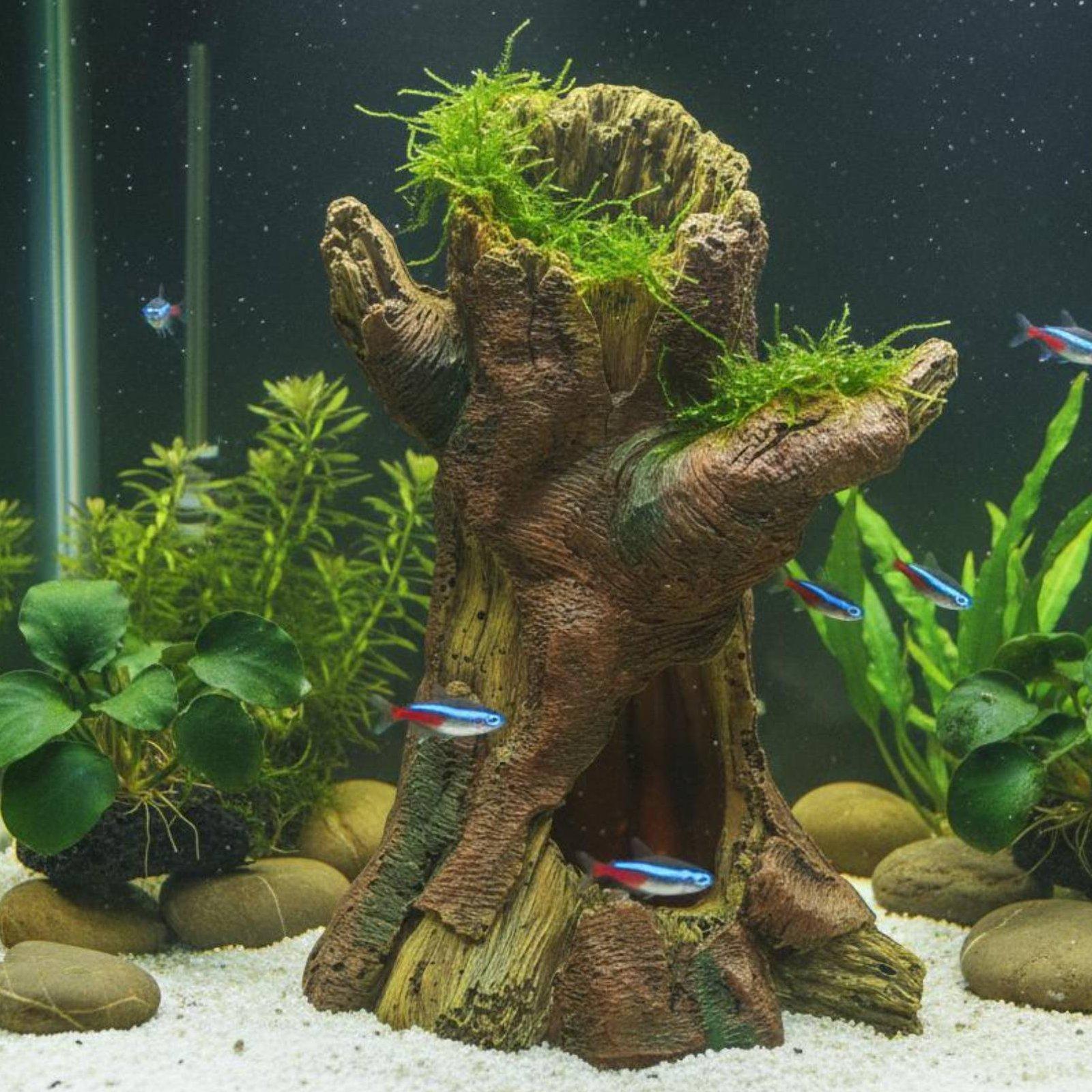 Akvaryum Peyzaj Dekorasyonu Ak - Aquarium Fishes incelemesi ve fiyatı