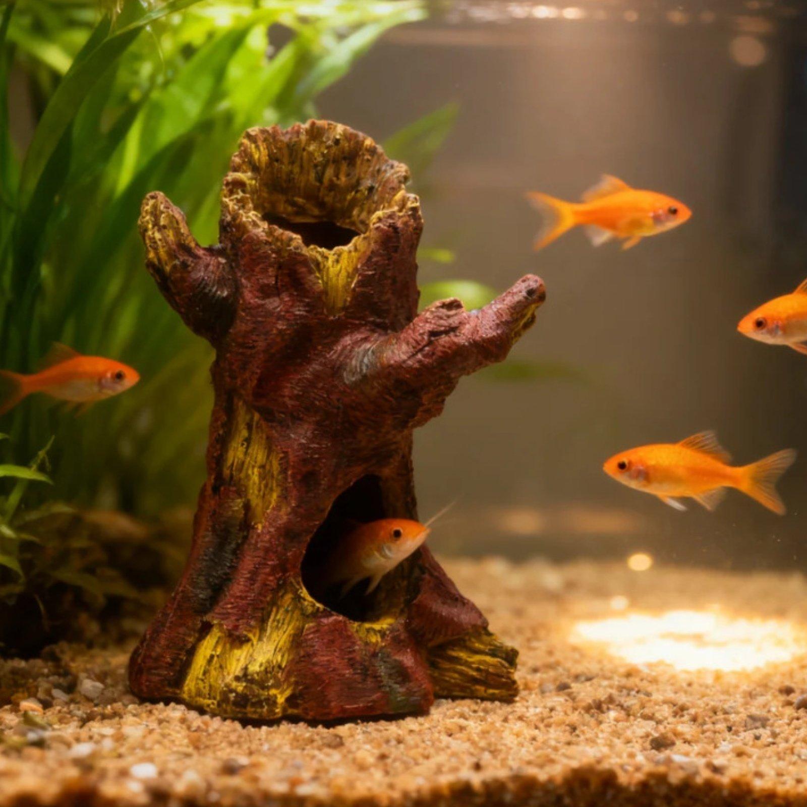Akvaryum Peyzaj Dekorasyonu Ak - Aquarium Fishes incelemesi ve fiyatı