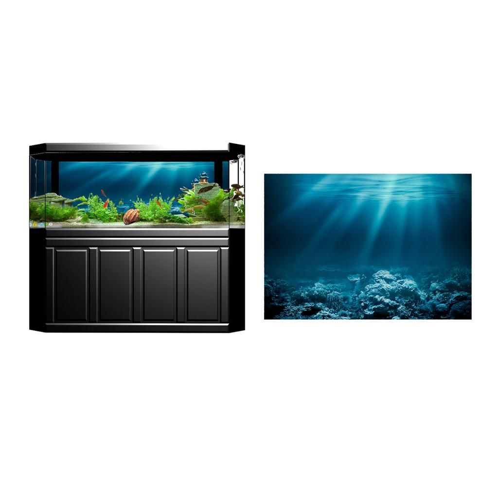 Balık Tankı Yapışkanlı Poster  - Fish In Aquarium Picture incelemesi ve fiyatı