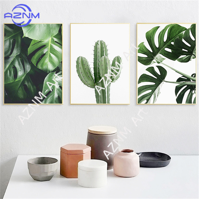 Yeşil Bitki Boyama Monstera Po - Live Plant Fertilizer incelemesi ve fiyatı