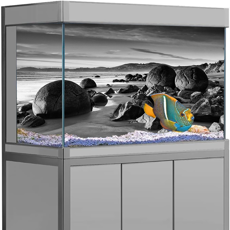 Akvaryum Arka Plan Çıkartması  - Aquarium Fish Wallpaper incelemesi ve fiyatı