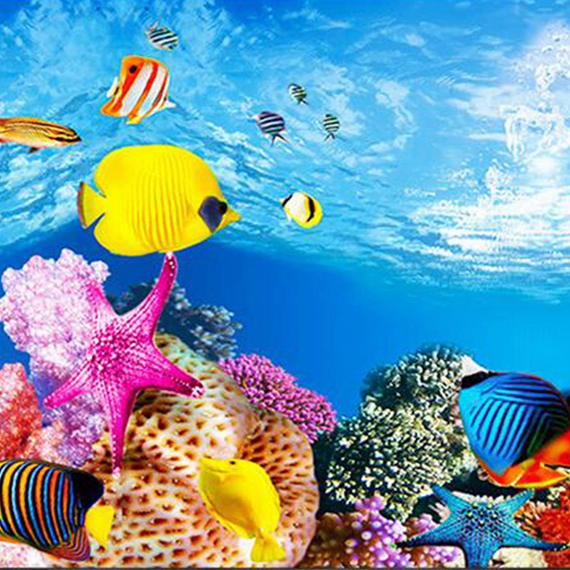 BAAU Akvaryum Arka Plan Kağıdı - Fish In Aquarium Picture incelemesi ve fiyatı