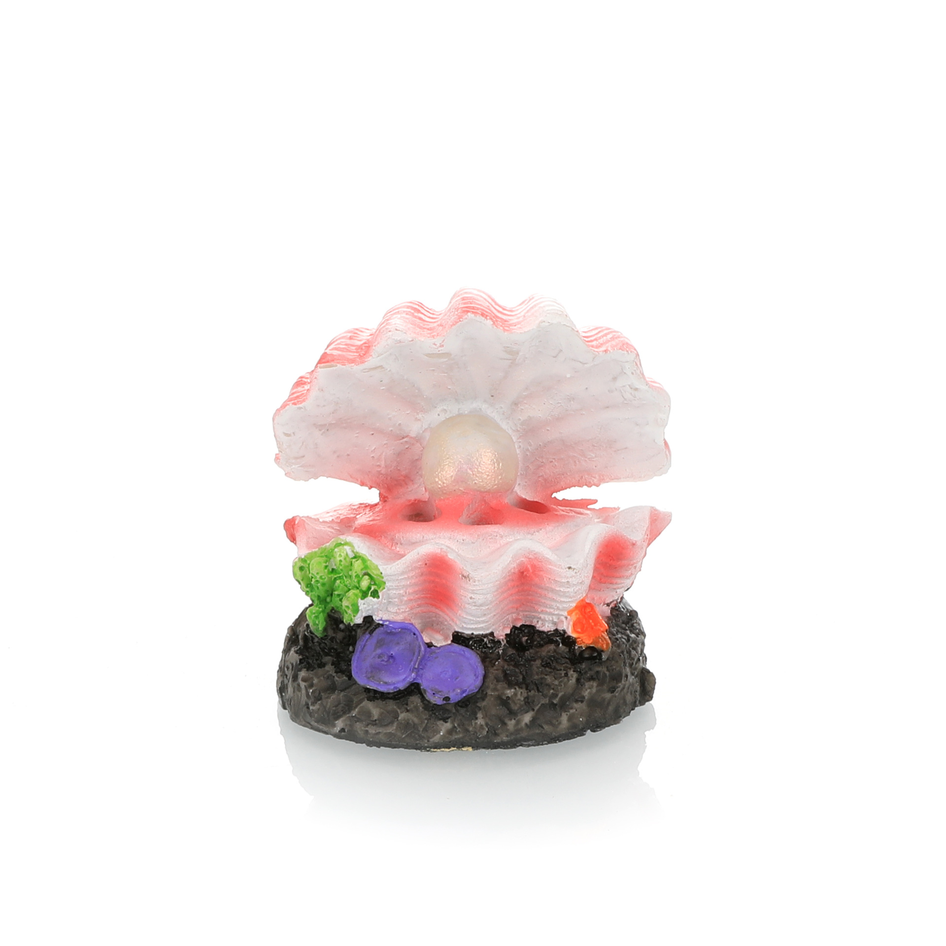 Balık Tankı Peyzaj Simülasyon  - Aquarium Fish For Sale Online incelemesi ve fiyatı