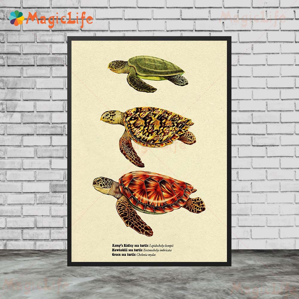 Vintage deniz balığı kaplumbağ - Fish In Aquarium Picture incelemesi ve fiyatı