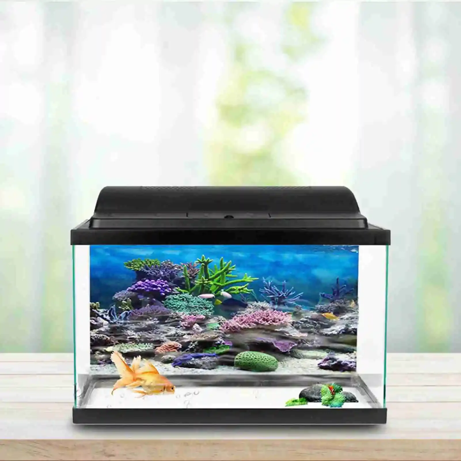 3D akvaryum manzara Poster Rai - Aquarium Fish Wallpaper incelemesi ve fiyatı