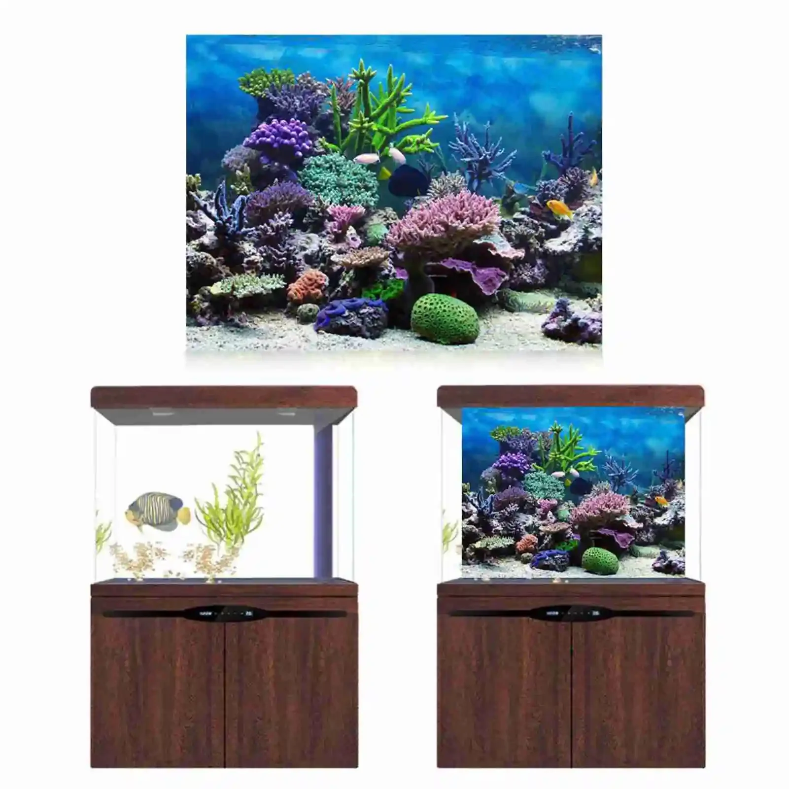 3D akvaryum manzara Poster Rai - Aquarium Fish Wallpaper incelemesi ve fiyatı