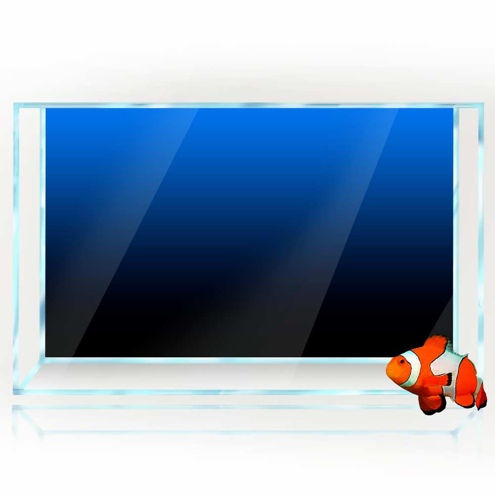 Balık Tankı Arka Plan Etiket S - Aquarium Fish Wallpaper incelemesi ve fiyatı