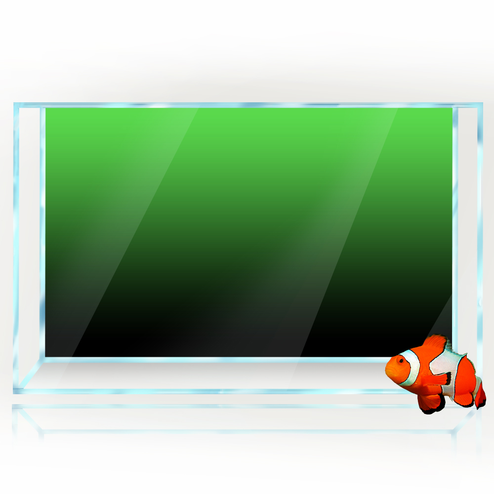 Balık Tankı Arka Plan Etiket S - Aquarium Fish Wallpaper incelemesi ve fiyatı