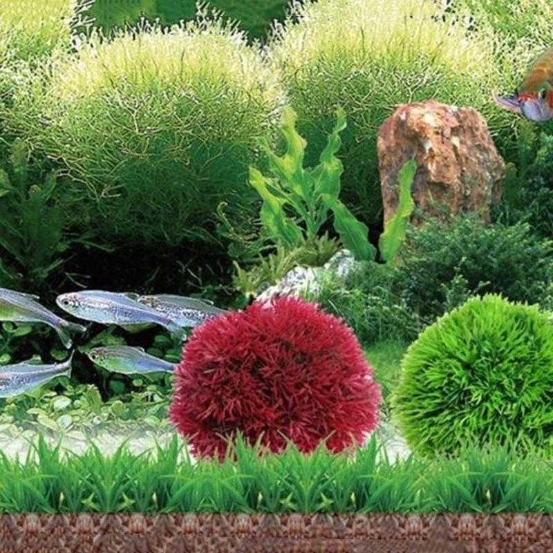 2026 Yapay Su Bitkileri Plasti - Aquarium Fish Ball incelemesi ve fiyatı