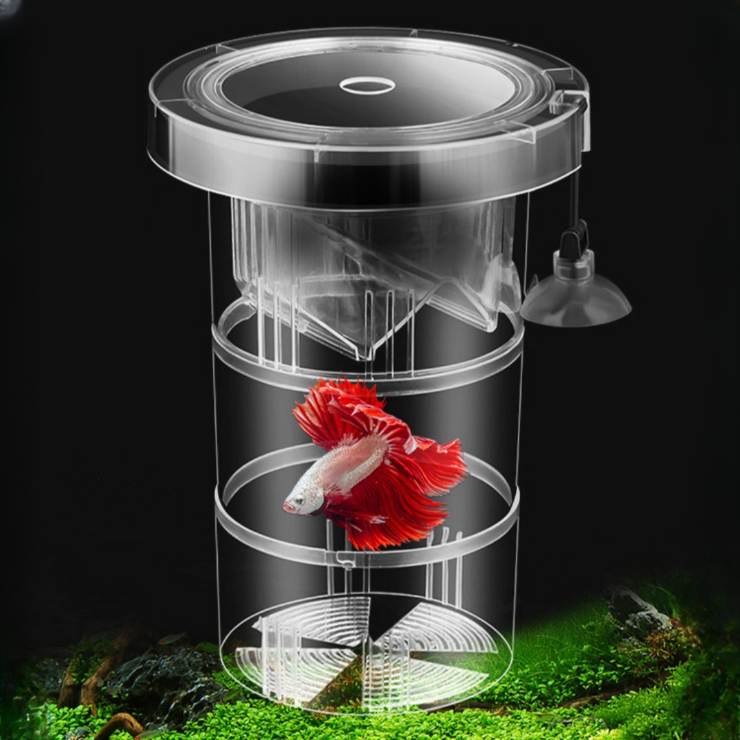 Akrilik Yüzen Balık Yetiştirme - Aquarium Fish Escape incelemesi ve fiyatı