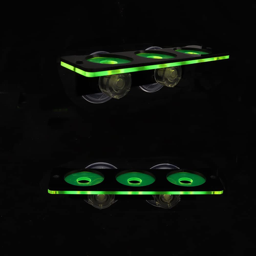 Floresan Mercan Frag Fiş Brake - Aquarium Fish For Sale Online incelemesi ve fiyatı