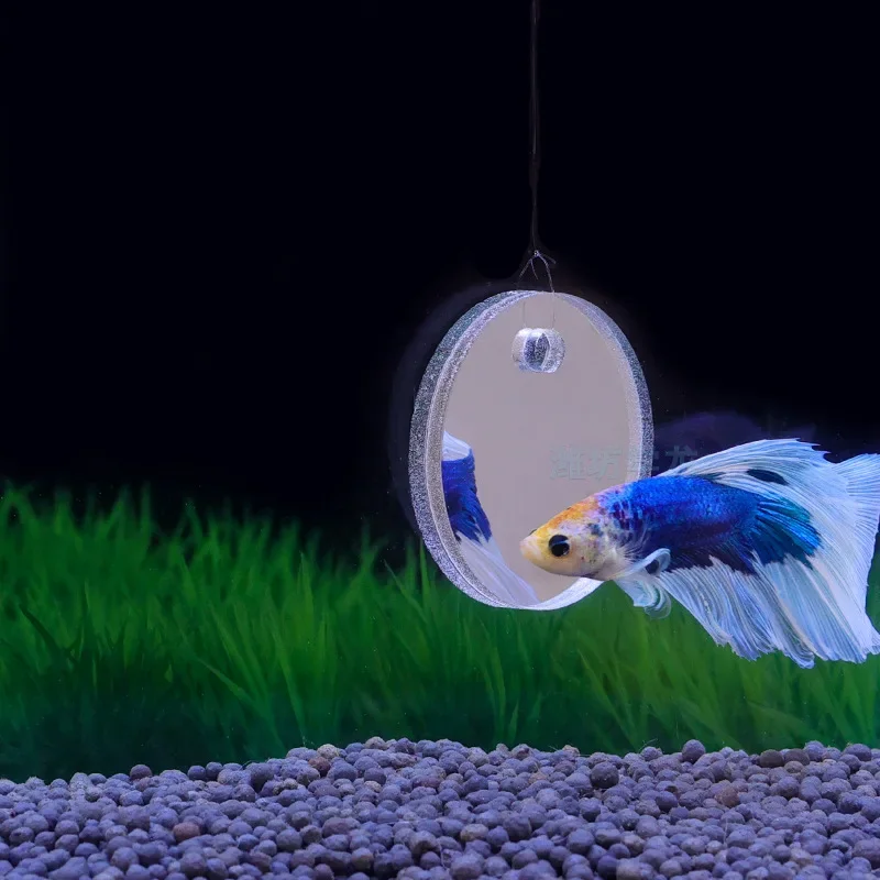 Akvaryum Betta Ayna Balık Tank - Aquarium Fish Escape incelemesi ve fiyatı