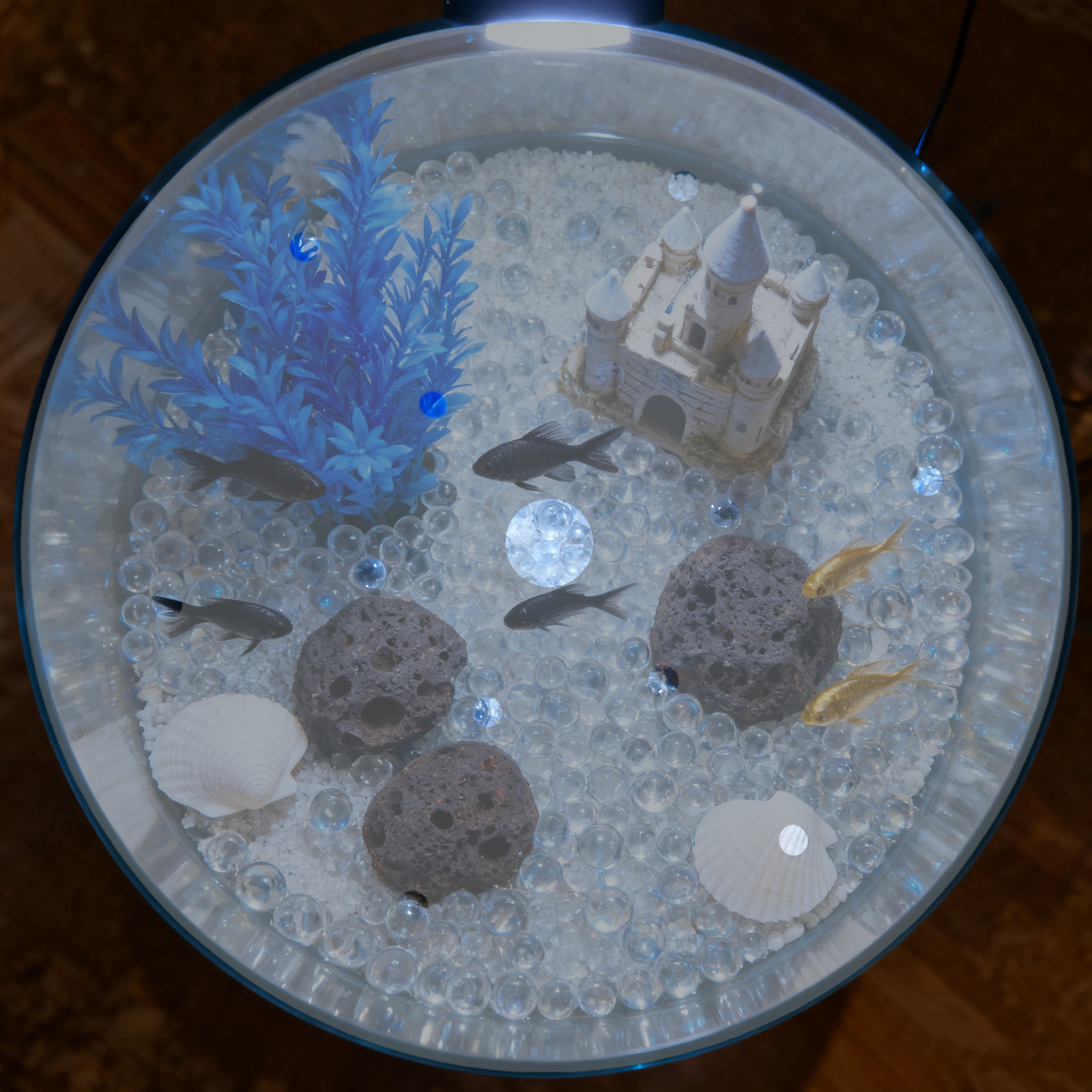 7 inç Yuvarlak Akrilik Balık T - Aquarium Fish Escape incelemesi ve fiyatı