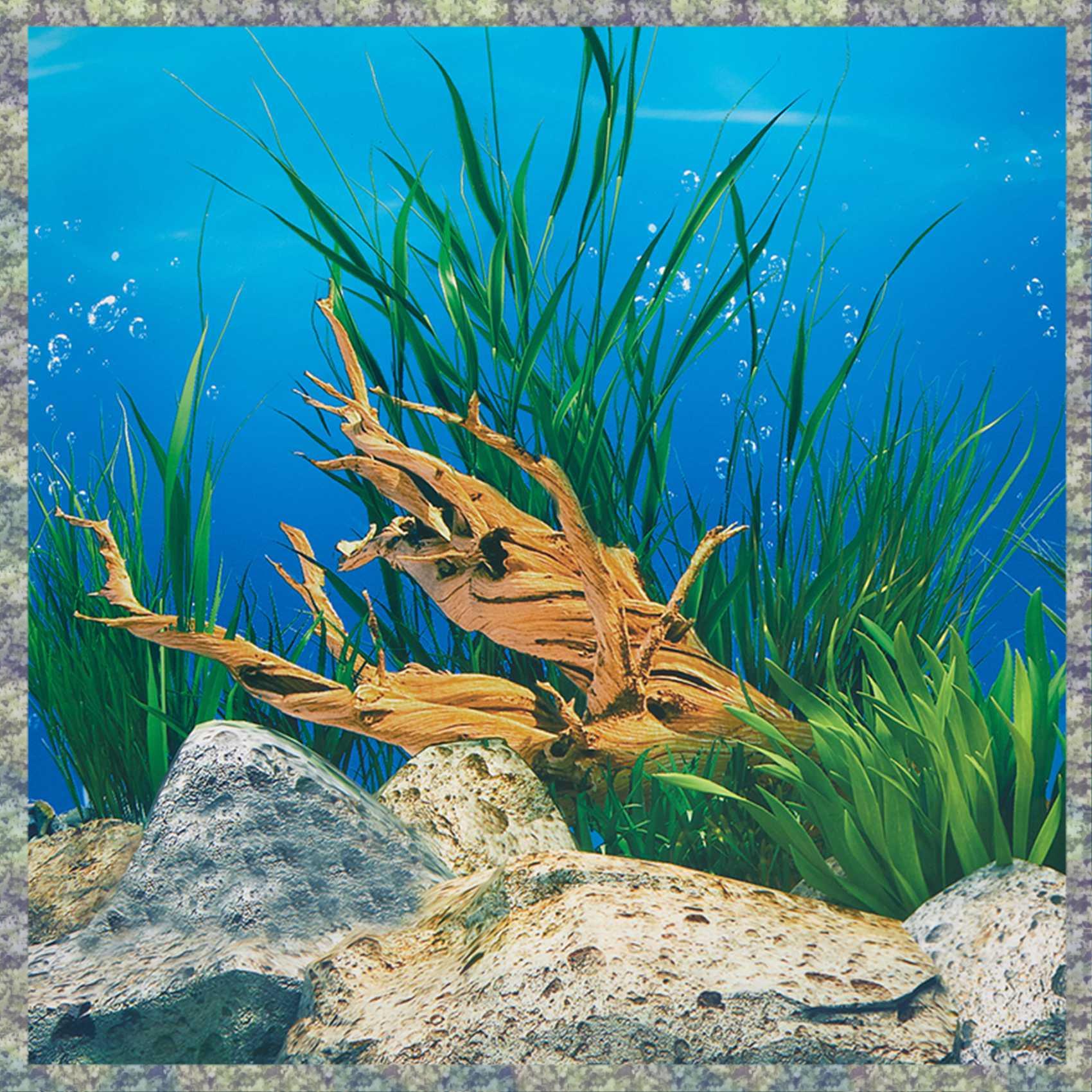 WON Akvaryum Arka Plan Kağıdı  - Fish In Aquarium Picture incelemesi ve fiyatı